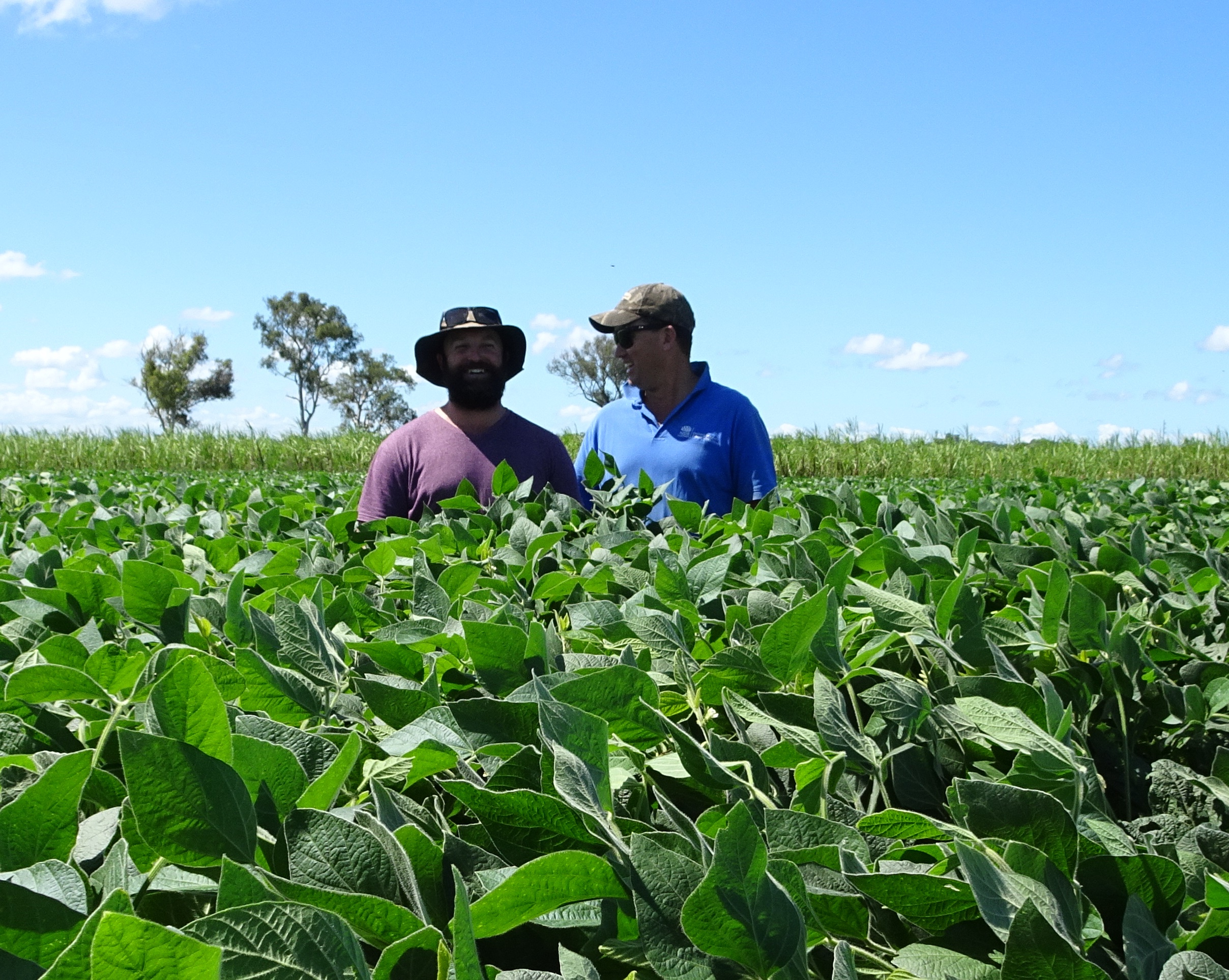 Jackson Green grower and Nathan Ensbey NSW DPI Hayman Soybean 8 Feb 2018.jpg